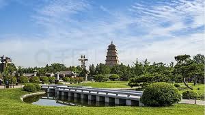 2026美加墨世界杯官网 义马市政绿化常用苗木
